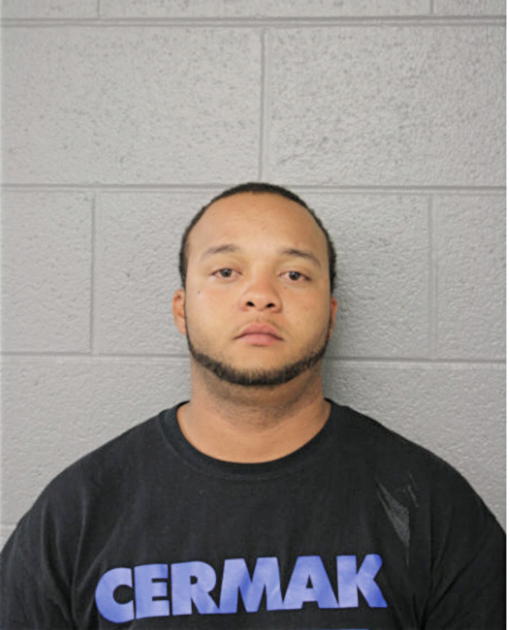 STEVE D HOLLOWAY, Cook County, Illinois