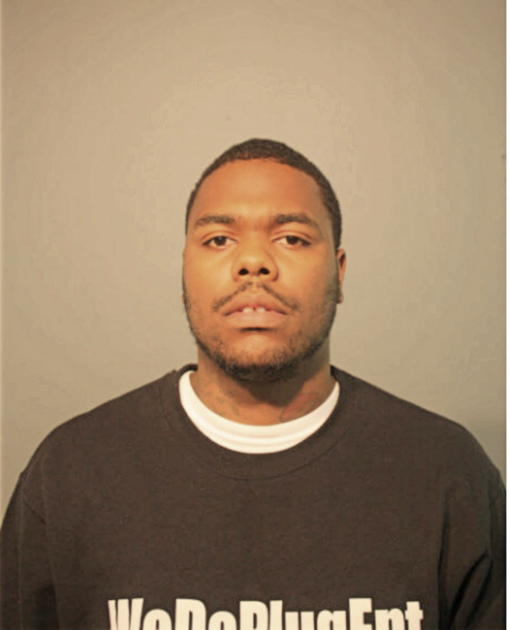 BRYCE A JOHNSON, Cook County, Illinois