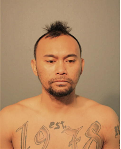 HAROLD P MAGLENTE, Cook County, Illinois