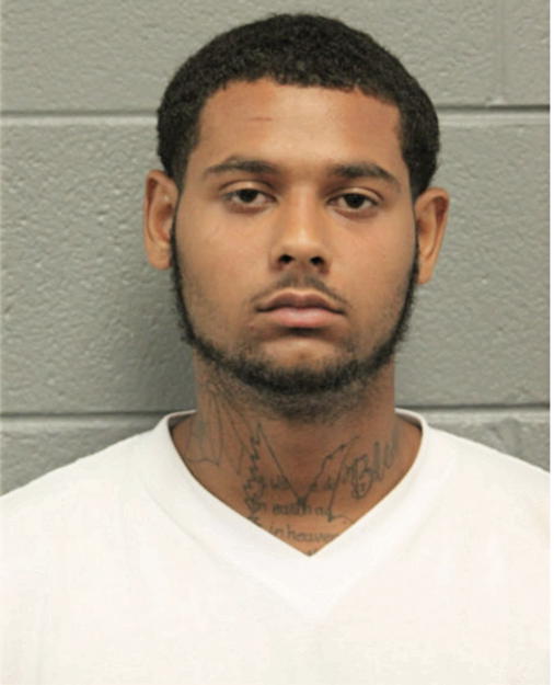 SYLVESTER T MARTIN, Cook County, Illinois