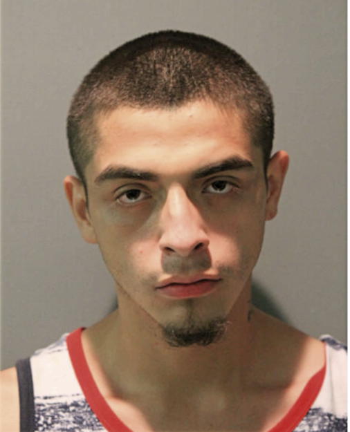 JUAN C MEDINA, Cook County, Illinois