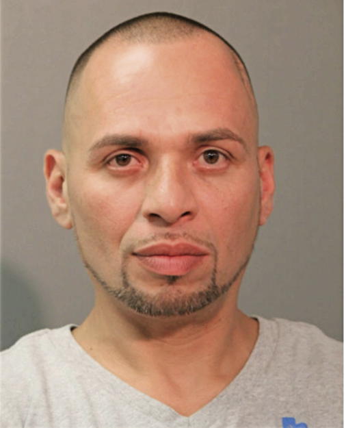 IVAN L MELENDEZ, Cook County, Illinois