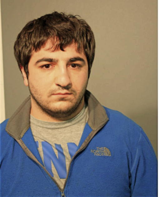 RAMIL MUSAEV, Cook County, Illinois