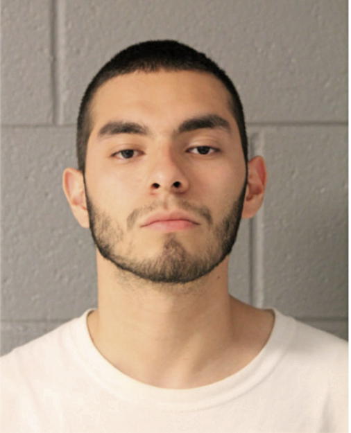ANDREW T ROMAN, Cook County, Illinois