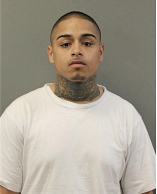 JOAQUIN SANTOS, Cook County, Illinois
