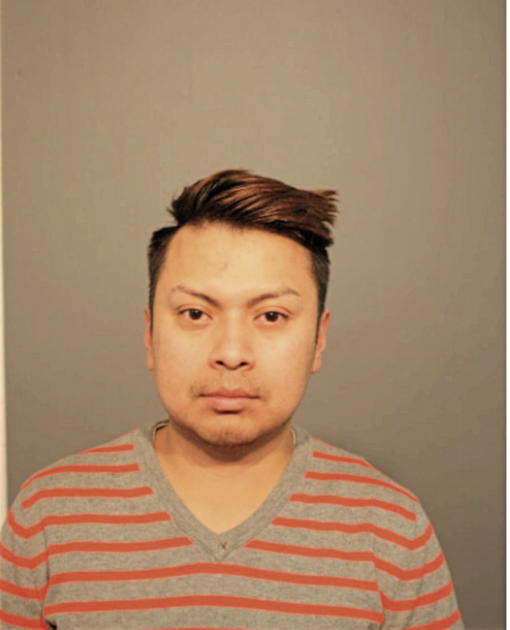 DANIEL VICENTE, Cook County, Illinois