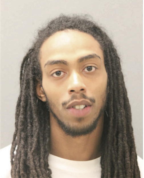 JESSE J WILLIAMS, Cook County, Illinois