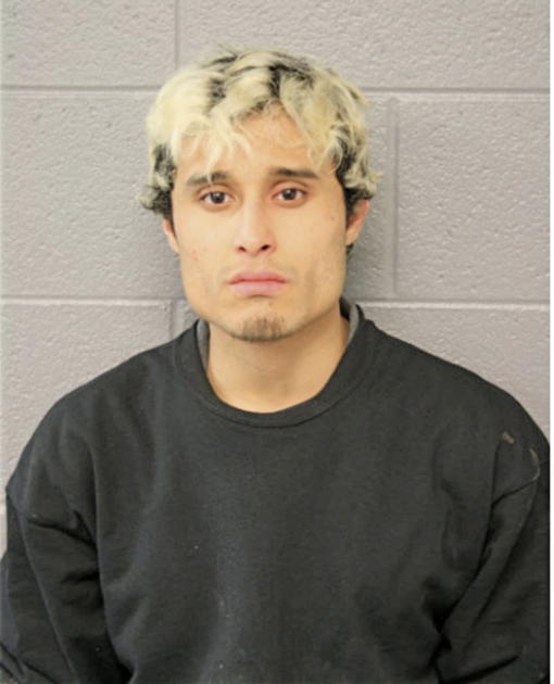 STANLEY ZAVALA, Cook County, Illinois