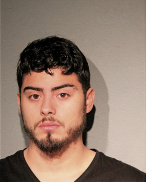 JULIO J ACANDA, Cook County, Illinois