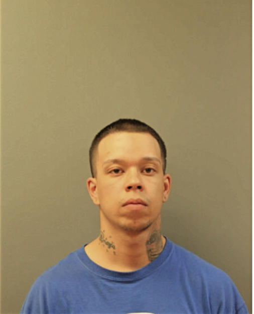 JOSE L ALVAREZ, Cook County, Illinois