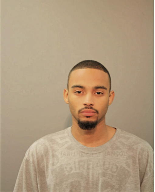 FRANKIE R BURGOS, Cook County, Illinois