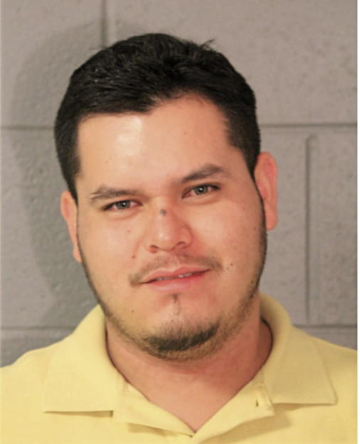ALBERTO CASTREJON, Cook County, Illinois
