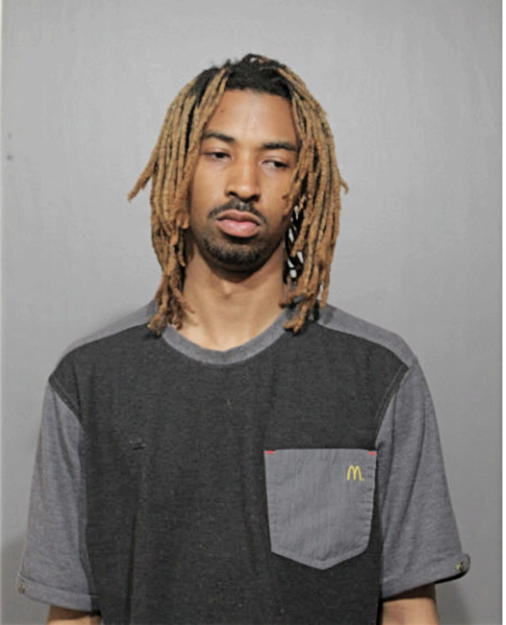 BRENT J CHILDS, Cook County, Illinois