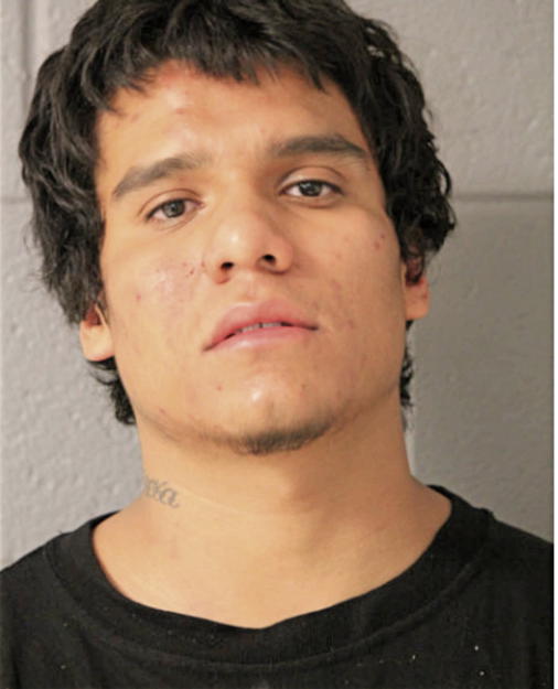 JOSE G CORTEZ, Cook County, Illinois