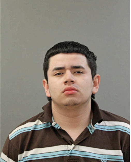 LUIS A DIAZ, Cook County, Illinois