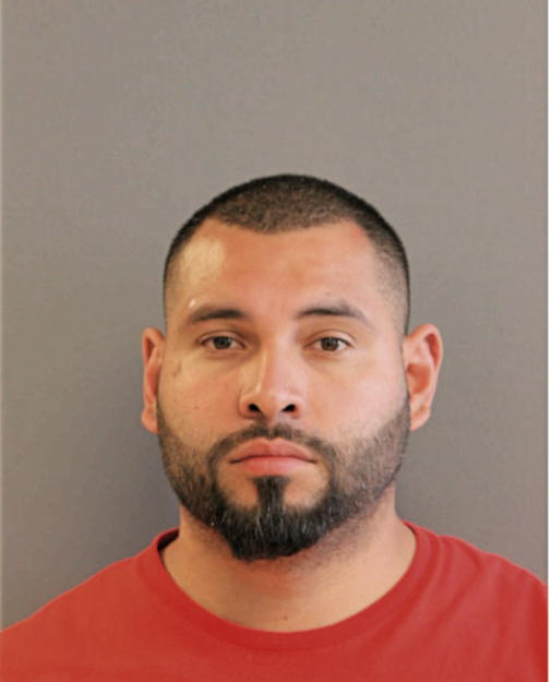 JESUS DOMINGUEZ, Cook County, Illinois