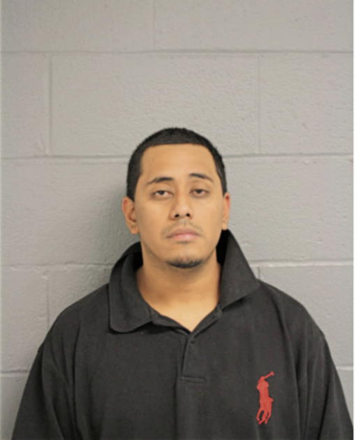 ROLANDO GARCIA, Cook County, Illinois