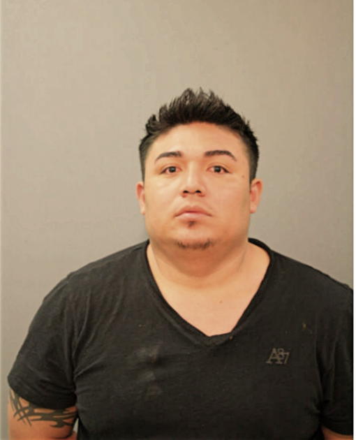 ISAI GONZAGA, Cook County, Illinois