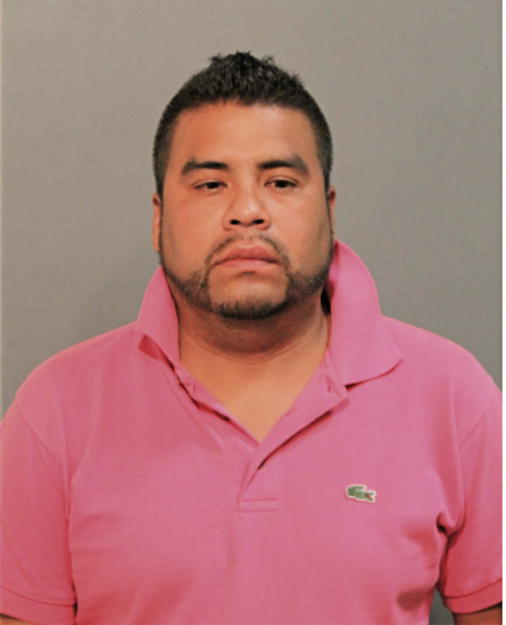 RAUL GONZALEZ, Cook County, Illinois