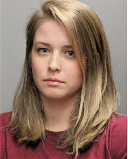 ALAINA M HAMPTON, Cook County, Illinois