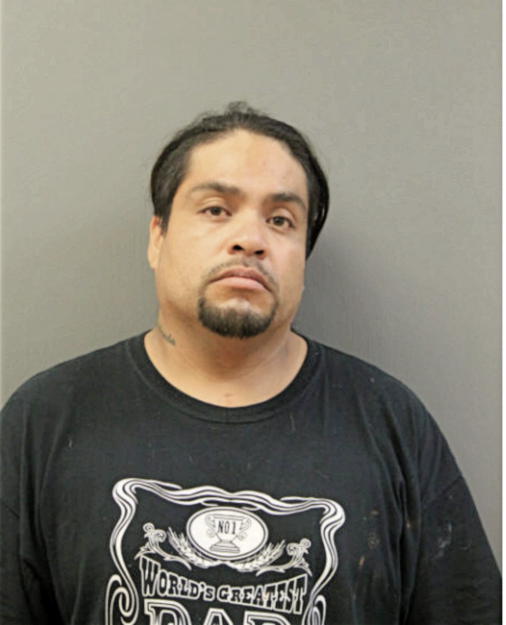 ROBERTO HERNANDEZ-ORTIZ, Cook County, Illinois