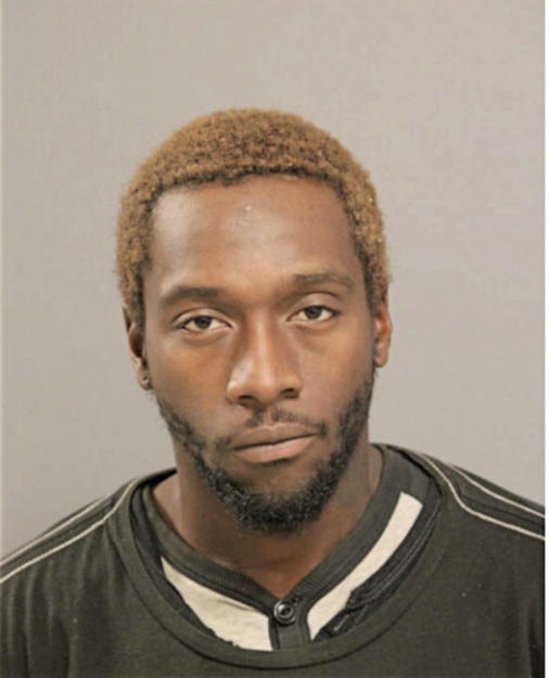 KOREI M IRVIN, Cook County, Illinois