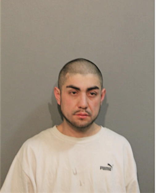 JOSE T LUNA CRUZ, Cook County, Illinois