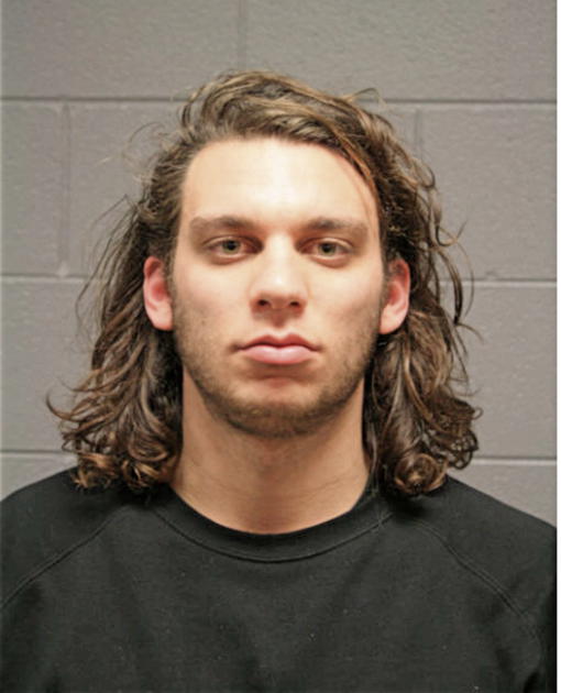 DANE P MURPHY, Cook County, Illinois