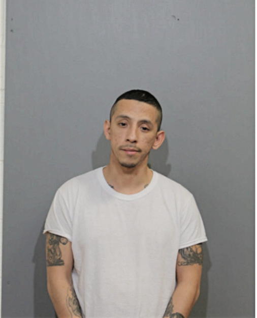 ESTEBAN CARLOS ORTIZ, Cook County, Illinois
