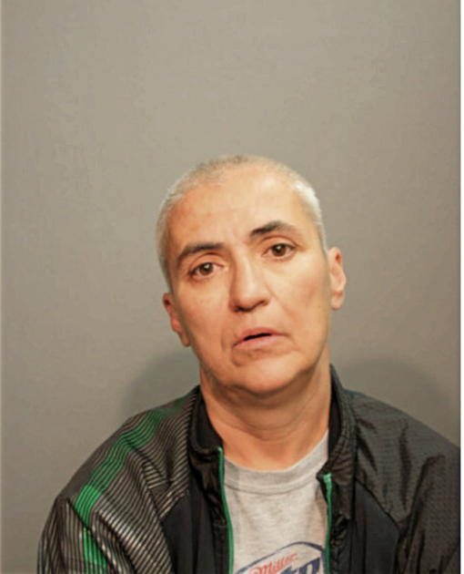 DONNA M PIEMONTESE, Cook County, Illinois