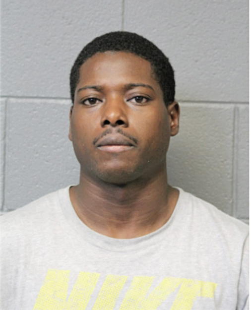 BRIAN R JOHNSON, Cook County, Illinois