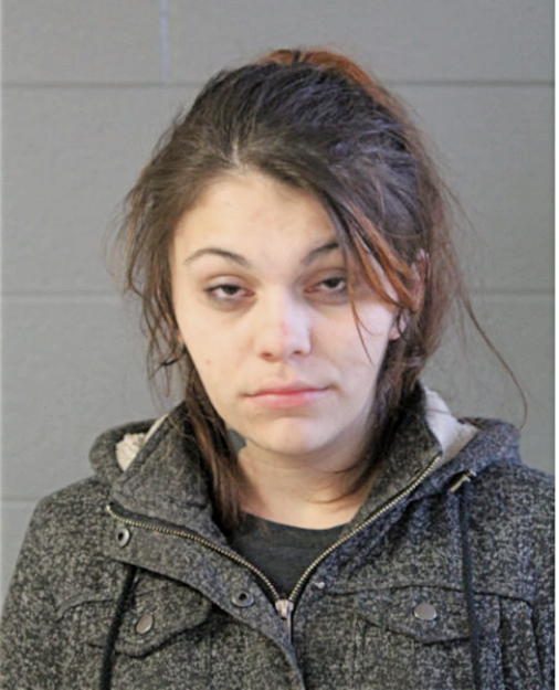 PAIGE K SANTANA, Cook County, Illinois