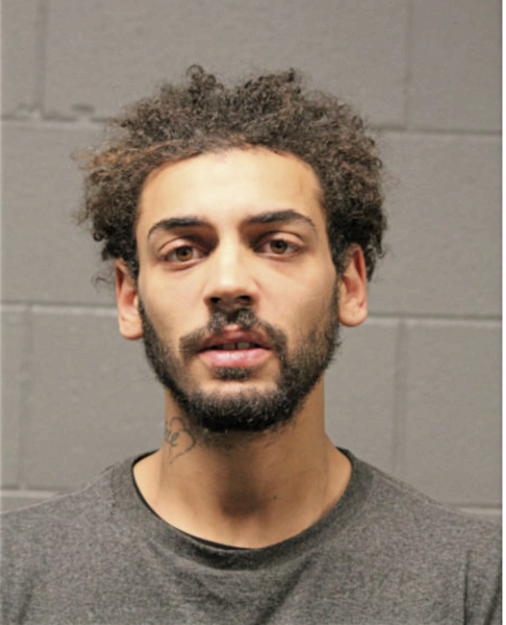 ISREAL R STEELE, Cook County, Illinois