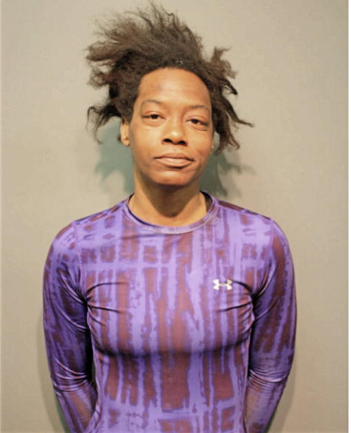 SHINA A TOUSANT, Cook County, Illinois