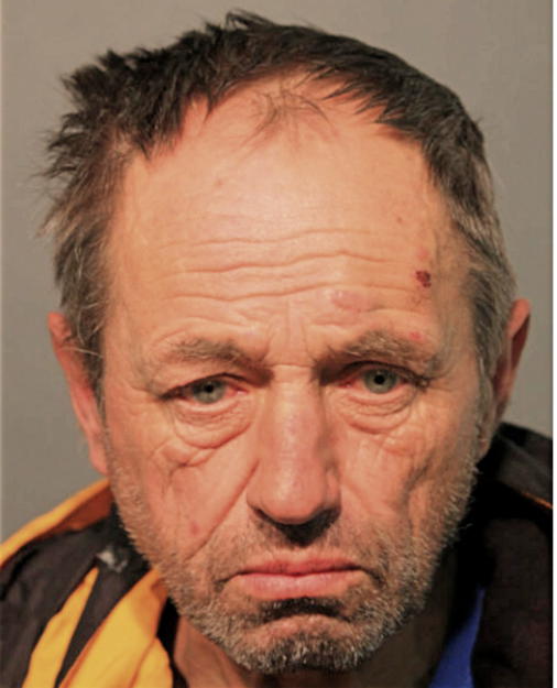 MAREK G WOJCIK, Cook County, Illinois