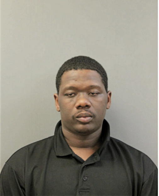MICHAEL G YOUNG, Cook County, Illinois