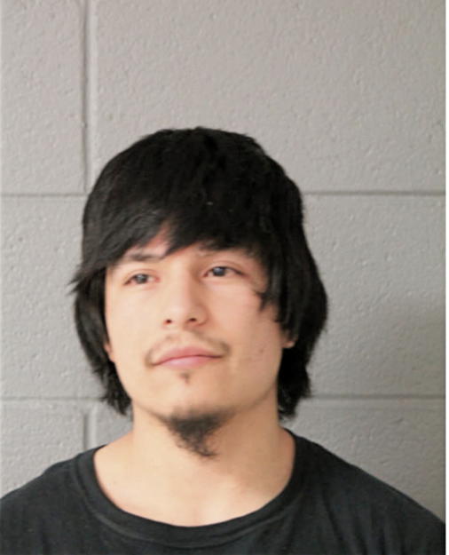 JOSE ALEJANDRO, Cook County, Illinois
