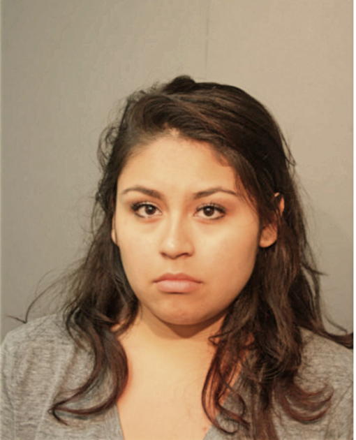 ALEXANDRIA E ALVAREZ, Cook County, Illinois