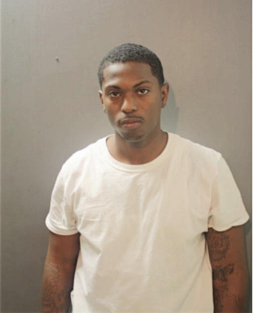 MICAH D ANDERSON, Cook County, Illinois