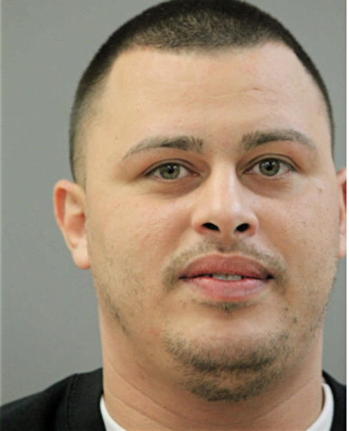 ISHMAEL L BAHENA, Cook County, Illinois
