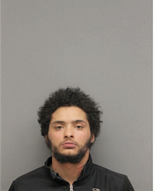 SIR L BRATTON, Cook County, Illinois