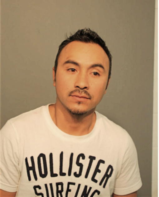 LUIS M CRUZ-ACEVEDO, Cook County, Illinois