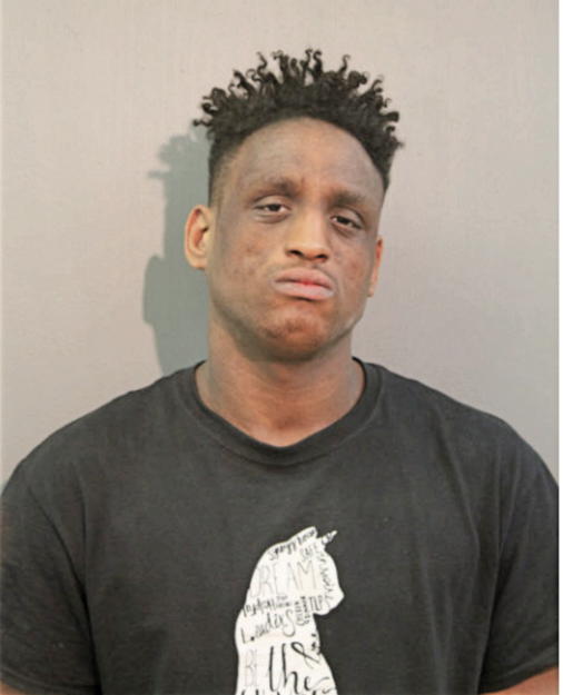 CRAIG L ECHOLS, Cook County, Illinois