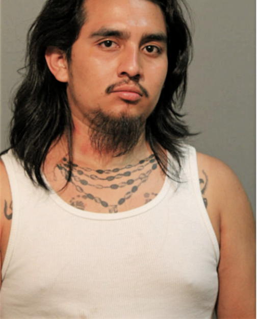 ENRIQUE FUENTES, Cook County, Illinois