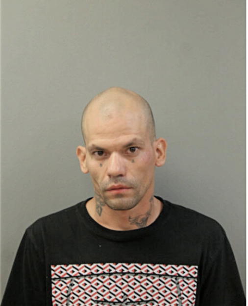 MATTHEW L GONZALEZ, Cook County, Illinois