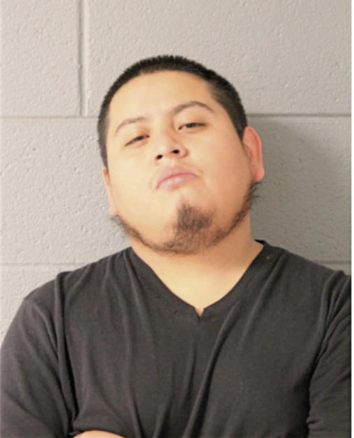 ELLIOT GUZMAN, Cook County, Illinois