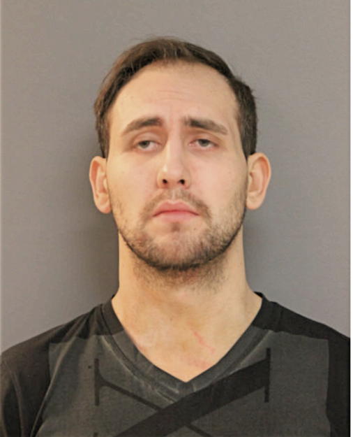 ANDREW D HAUSSLER, Cook County, Illinois