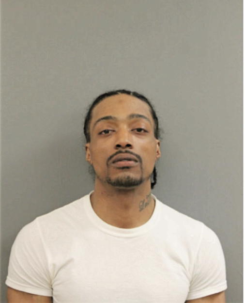 LYNELL S HICKS, Cook County, Illinois