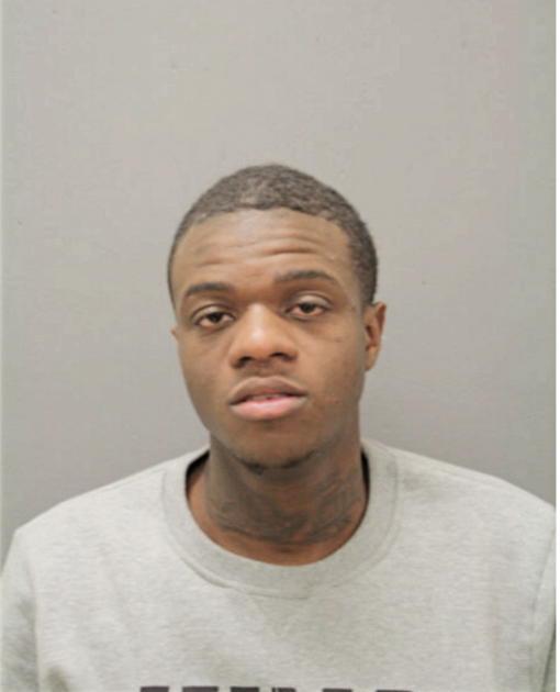 STEPHON D JOHNSON, Cook County, Illinois