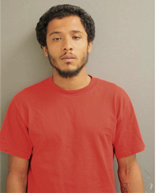 ERIC LEE JOHNSTON, Cook County, Illinois